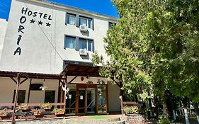 Hostel Horia